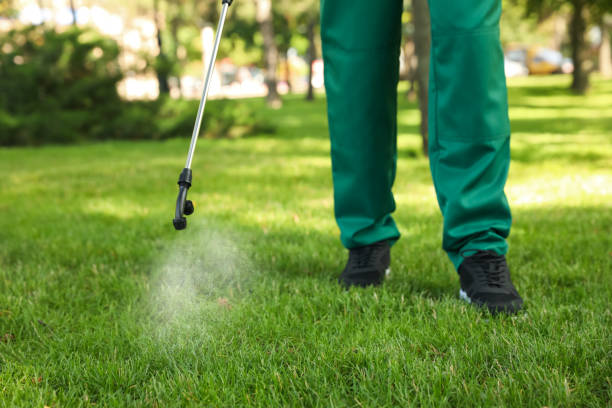 Best Mosquito Control Services  in Auburn, AL