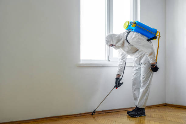 Best Affordable Pest Control Services  in Auburn, AL