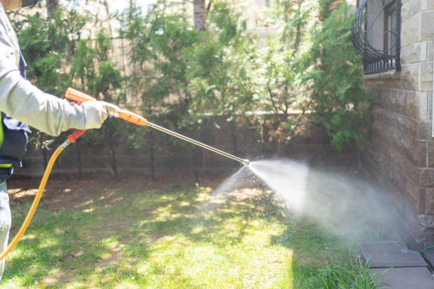 Best Affordable Pest Control Services  in Auburn, AL