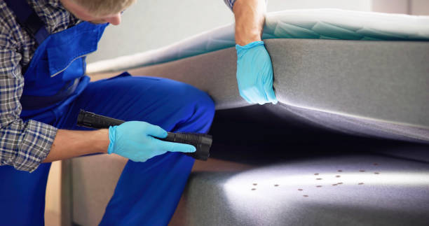 Best Pest Control Near Me  in Auburn, AL