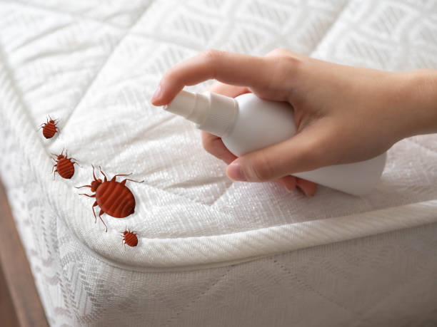 Best Pest Inspection Near Me  in Auburn, AL