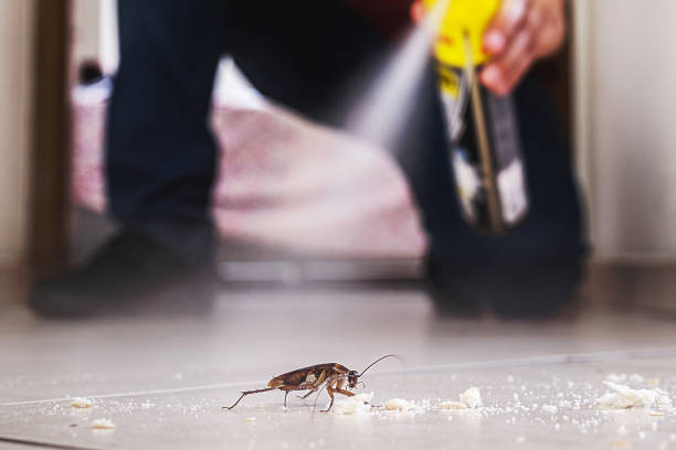 Best Residential Pest Control  in Auburn, AL