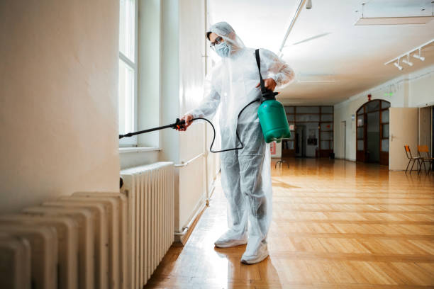 Best Insect Control  in Auburn, AL