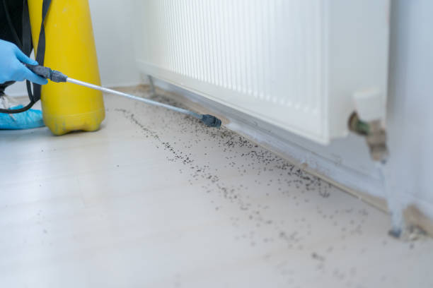 Best Cockroach Control Services  in Auburn, AL