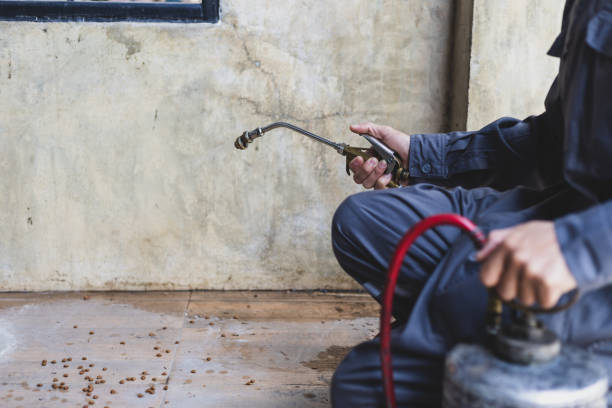 Best Pest Control Near Me  in Auburn, AL